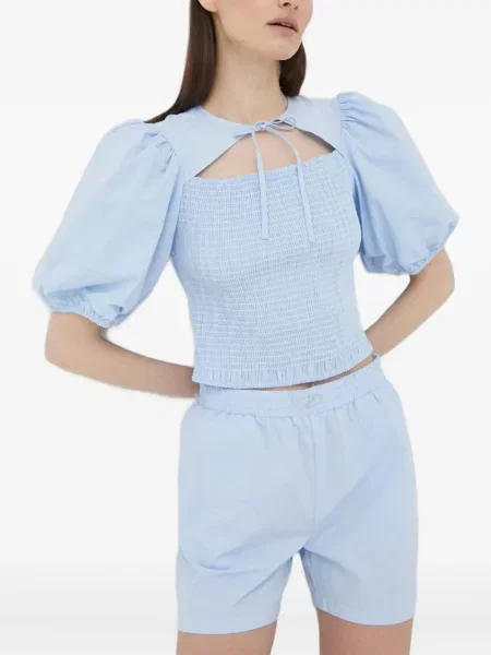 Top Résumé albastru