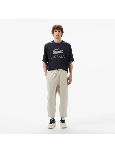 Lacoste спортивні штани чоловічі Regular Fit сірі