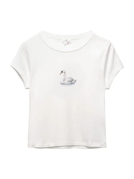 Pull&Bear Tricou PACIFIC gri deschis / roz negru