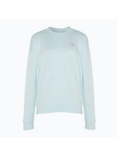 Bluza adidas Graphic almost blue niebieska