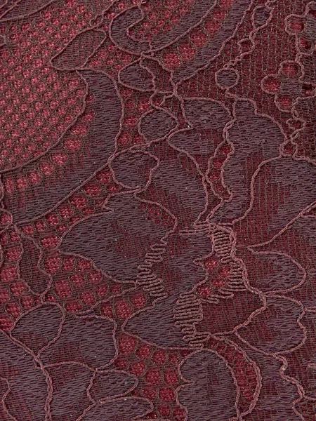 LASCANA Sutien vin roșu