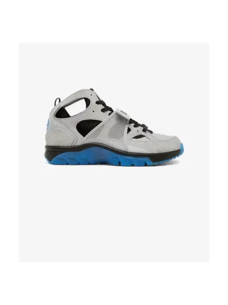 Pantofi Nike gri