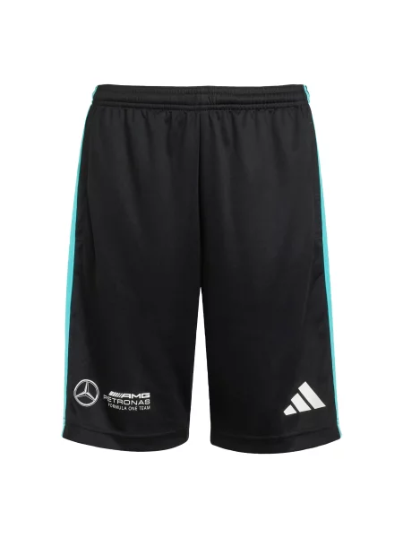 ADIDAS PERFORMANCE Παντελόνι φόρμας Mercedes AMG Petronas Formula One Team άκουα / μαύρο λευκό
