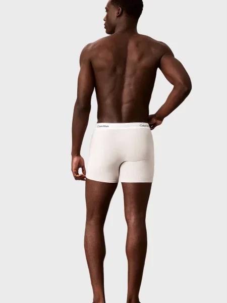 Боксери Calvin Klein