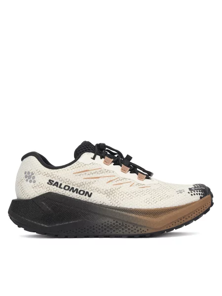 Pantofi pentru alergare Salomon Aero Blaze 4 gtx GORE-TEX bej