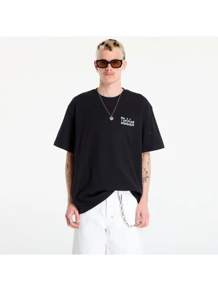 T-shirt Dickies Vernal Short Sleeve Tee Black S czarna