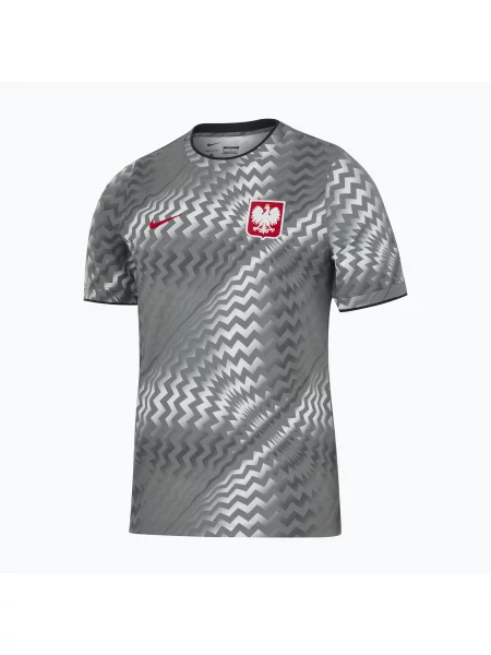 Tricou de fotbal pentru bărbați Nike Dri-Fit Poland Pre-Match pure platinum/cool grey gri