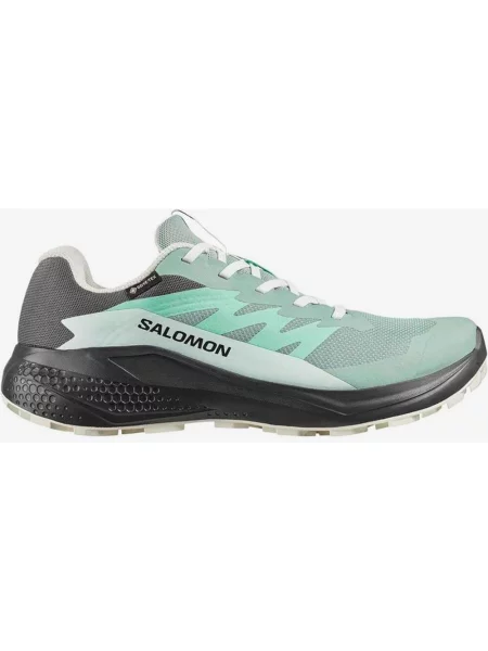 Buty do biegania Salomon Alphaglide GORE-TEX zielony mięta 36 szary