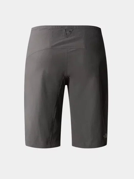Короткие спортивные шорты The North Face серые