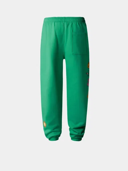 Повседневные брюки The North Face зеленые