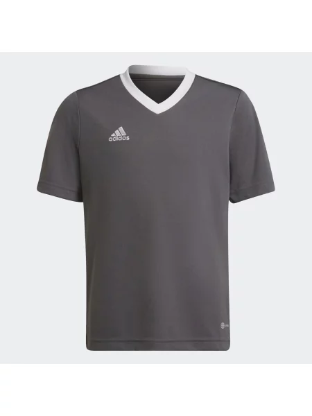 Koszulka piłkarska dla dzieci adidas Entrada 22 Jersey szara