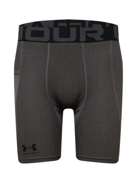 UNDER ARMOUR Sportske hlače tamo / crna siva