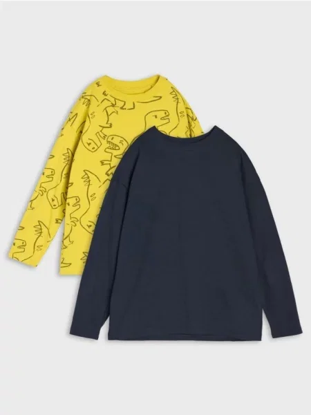 Sinsay trička loose fit s motivem dinosaurů 2 pack vícebarevná