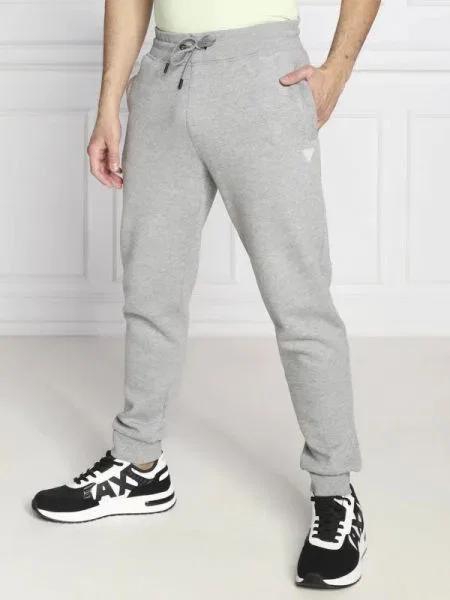 GUESS ACTIVE Pantaloni de trening ALDWIN gri