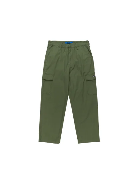 Cargo nohavice Dc Shoes zelená