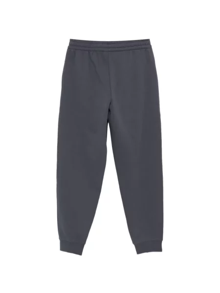 Pantaloni Ea7 Emporio Armani alergare cu autograf gri