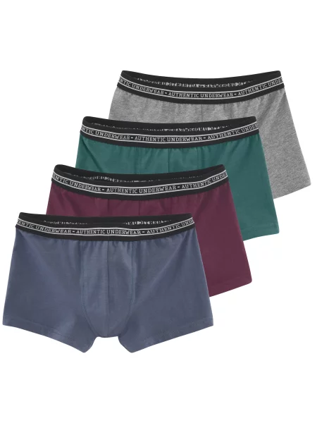 Authentic Le Jogger Gaće plava tamno zelena / tamno crvena siva