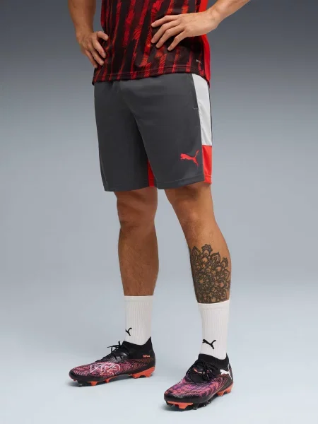Шорты Puma серые