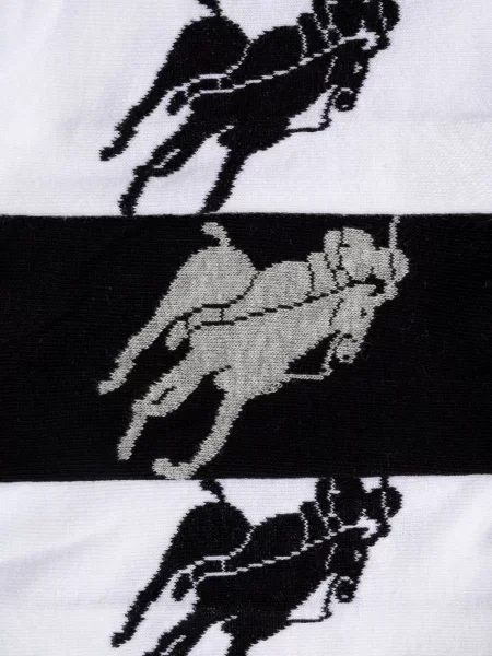 Polo Ralph Lauren Ponožky sivá