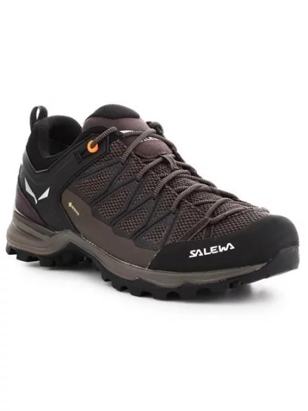 Buty trekkingowe Salewa Mtn Trainer Lite Gtx czarne