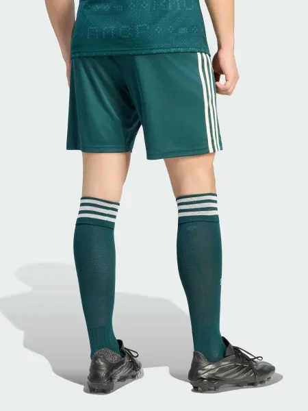 Спортивные шорты Adidas зеленые