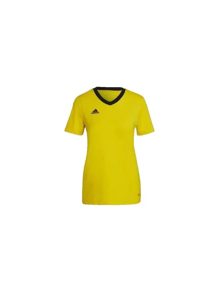 Ingruha Adidas