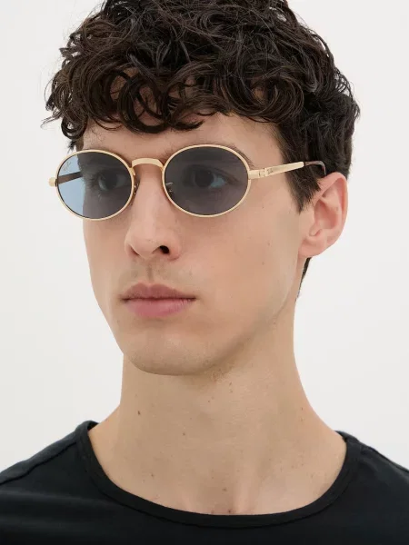Ray-Ban Sončna očala temno / zlata rjava