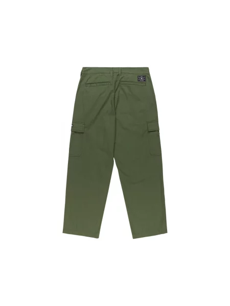 Cargo hlače Dc Shoes zelena