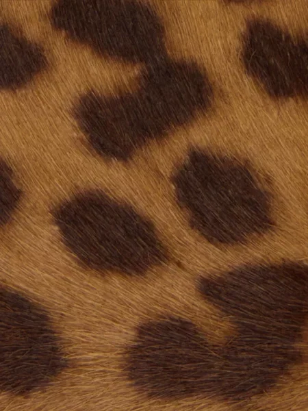 Curea Roberto Cavalli cu imagine cu model zebră negru