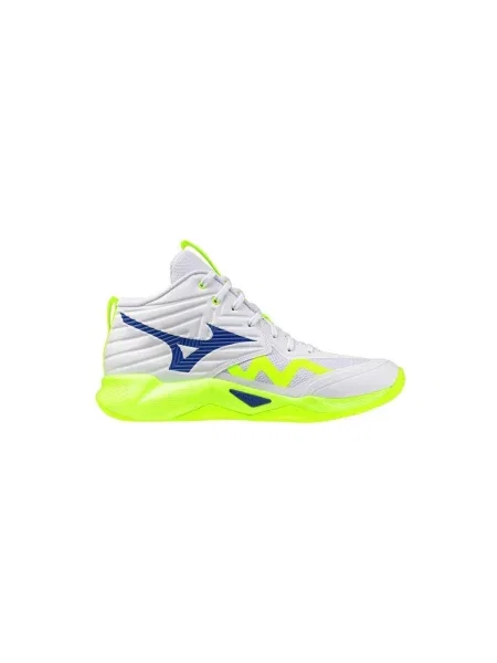 Pantofi Mizuno