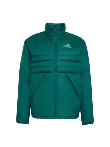 ADIDAS TERREX Μπουφάν πεζοπορίας Multi έλατο / ανοικτό πράσινο