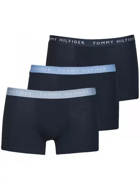 Gaćice Tommy Hilfiger