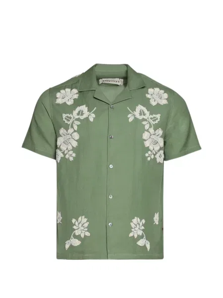 Риза Baziszt на цветя зелено