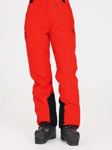 Pantaloni de schi Whistler