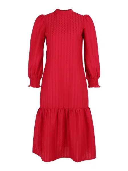 Dorothy Perkins Petite Šaty / světle červená