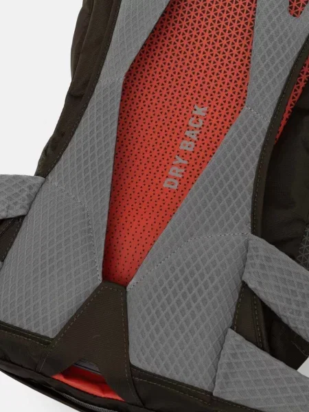 Salewa hátizsák Alp Trainer szürke