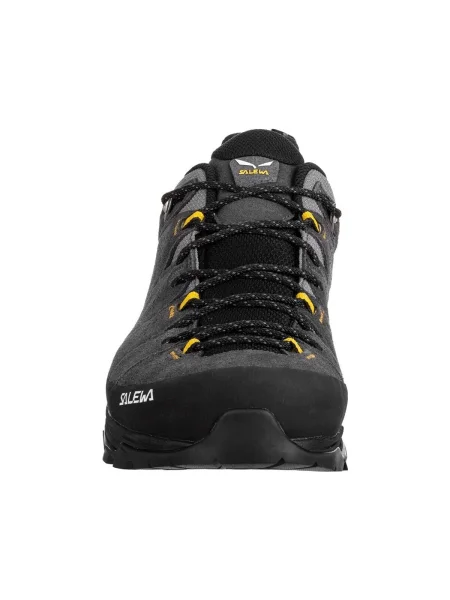 Pánske trekové topánky Salewa Alp Trainer 2 GTX grey sivá