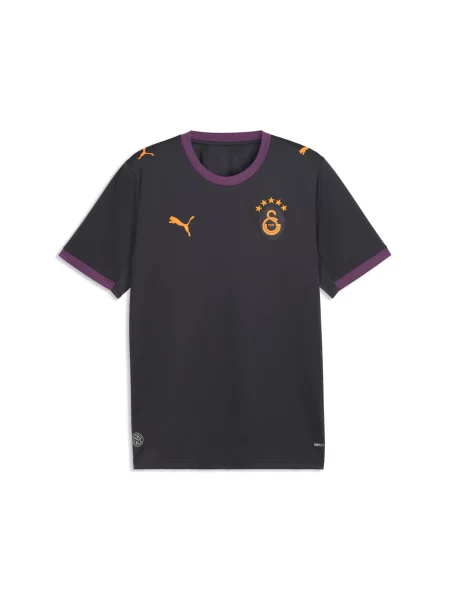 PUMA koszulka wyjazdowa Galatasaray S.K. Akcesoria S szary