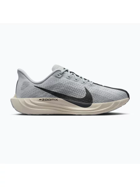 Buty do biegania Nike Pegasus Plus pure platinum/wolf grey/sail/anthracite szare
