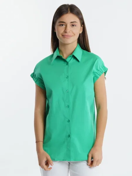 Сорочка Arber зелений