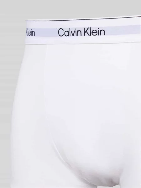 Majtki z elastycznym paskiem z logo w zestawie 3 szt. Calvin Klein Underwear szare