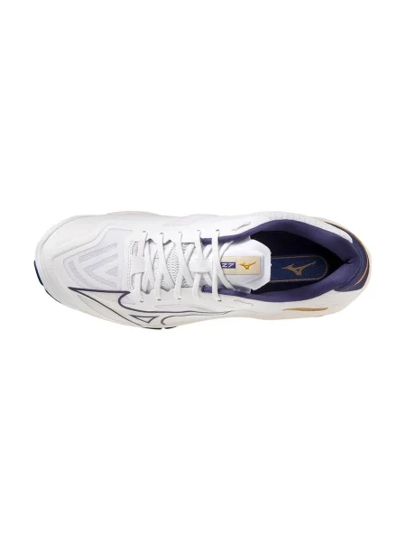 Pantofi Mizuno