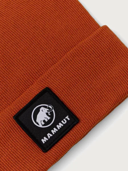 Mammut шапка Fedoz