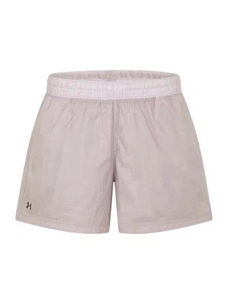UNDER ARMOUR Pantaloni sport gri