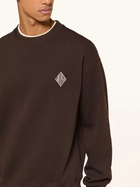 Lacoste Bluza braun
