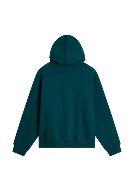 Hanorac cu glugă The North Face verde
