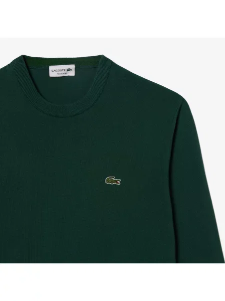Lacoste Monochromatyczny Sweter Z Okrągłym Dekoltem zielony