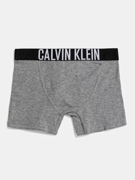Calvin Klein Underwear Детски боксерки 2 чифта черно