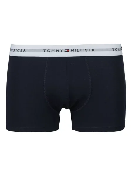 Chiloți Tommy Hilfiger albastru