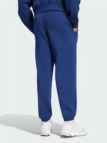 Джоггеры Adidas синие